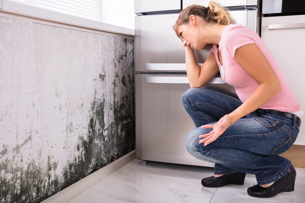 4 stappen om een ​​schimmelprobleem in uw huis op te lossen